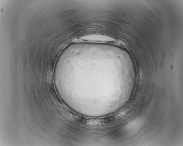 X0000053070177200508081229