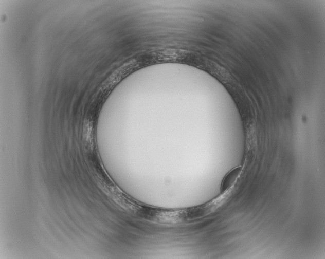 X0000053070178200508081229