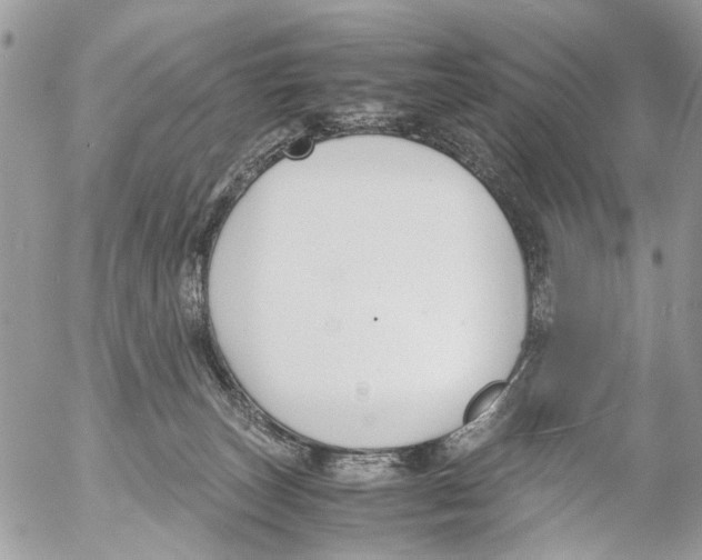 X0000053070179200508081229