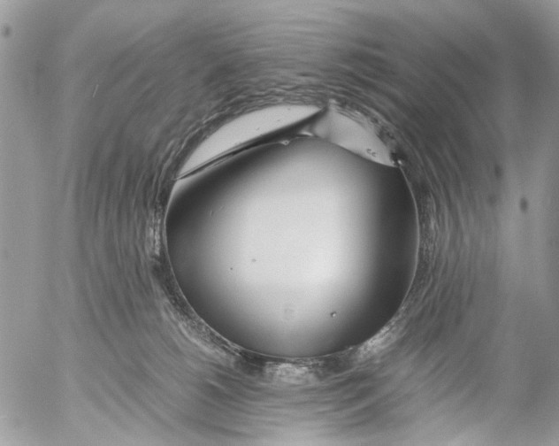 X0000053070180200508081229