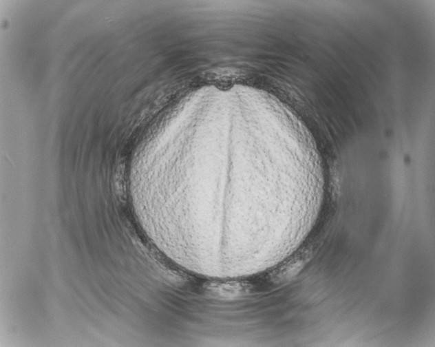 X0000053070181200508081229