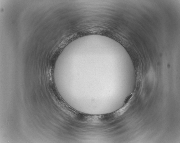 X0000053070182200508081229