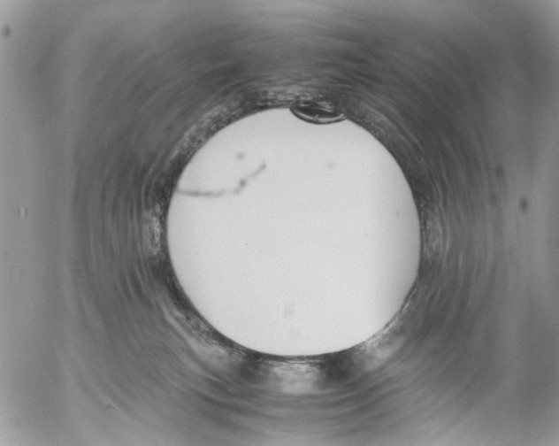 X0000053070183200508081229