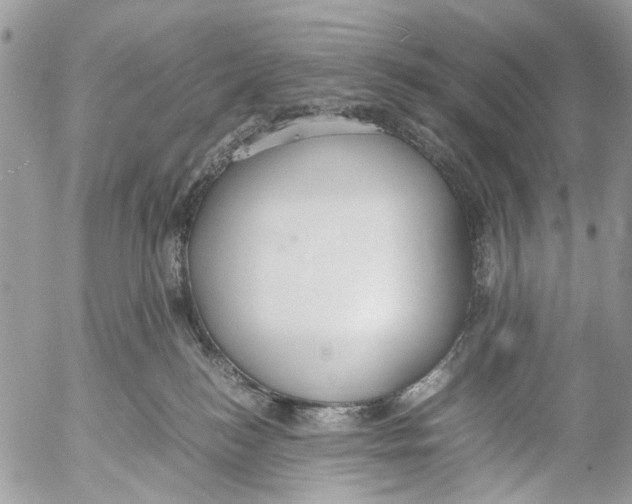 X0000053070184200508081229