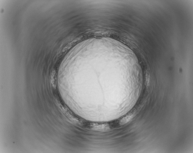 X0000053070185200508081229