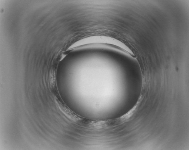 X0000053070186200508081229