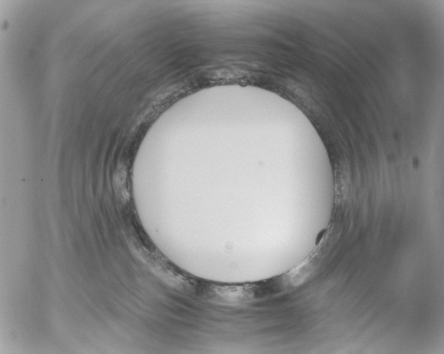 X0000053070187200508081229