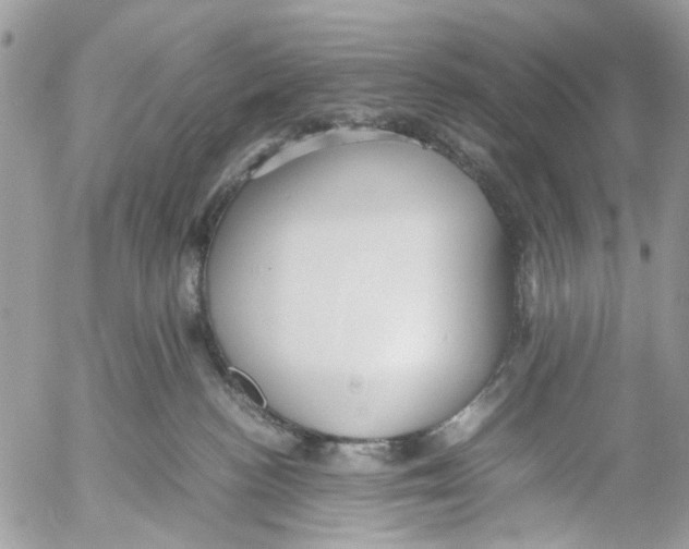 X0000053070188200508081229