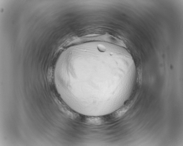 X0000053070189200508081229