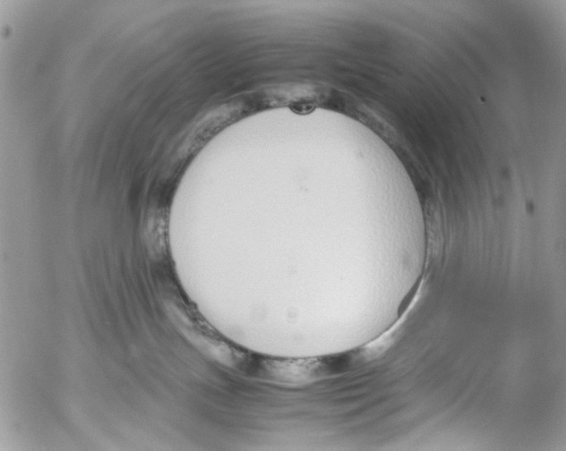 X0000053070191200508081229