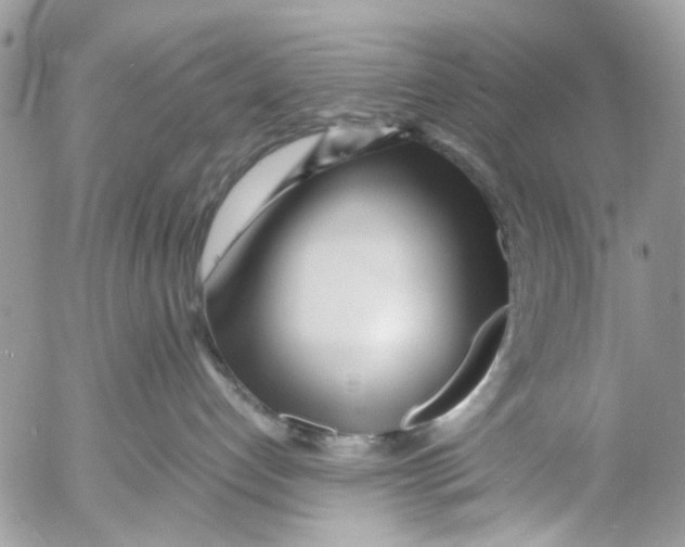 X0000053070192200508081229