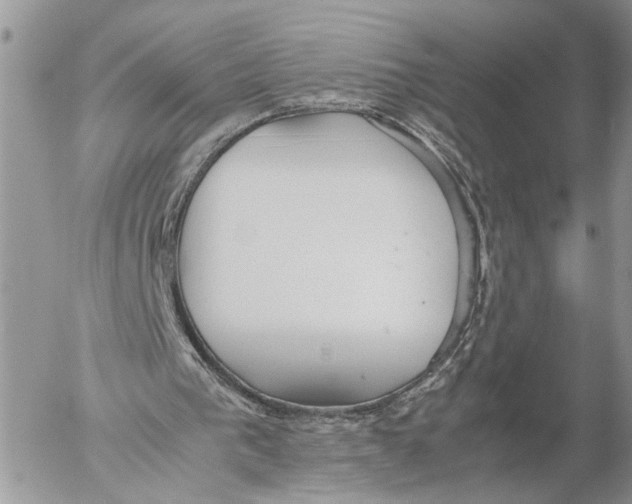 X0000053070193200508081228