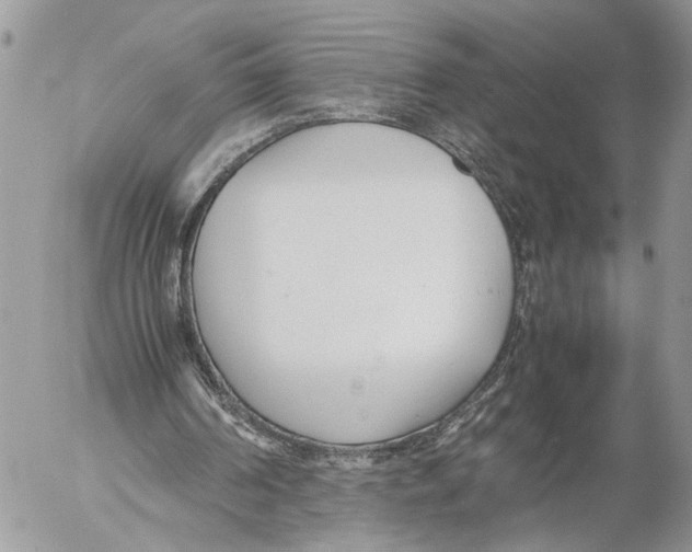 X0000053070194200508081228