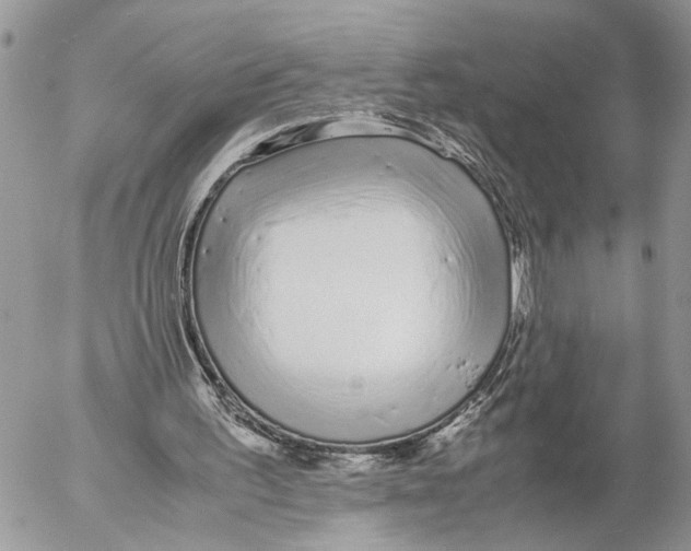 X0000053070195200508081228