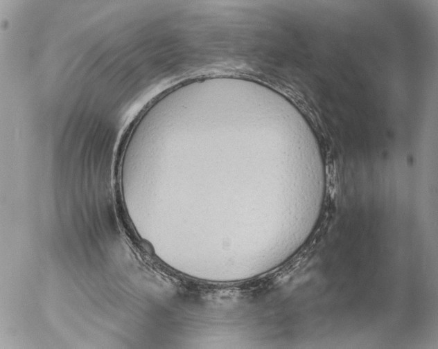 X0000053070196200508081228