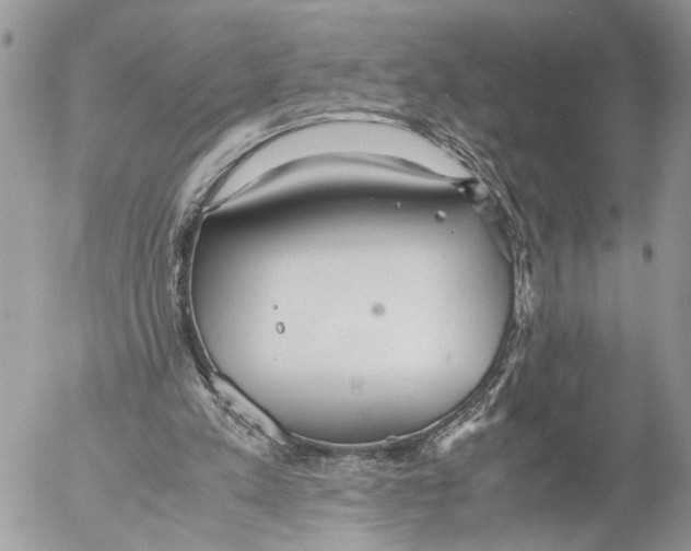 X0000053070197200508081228