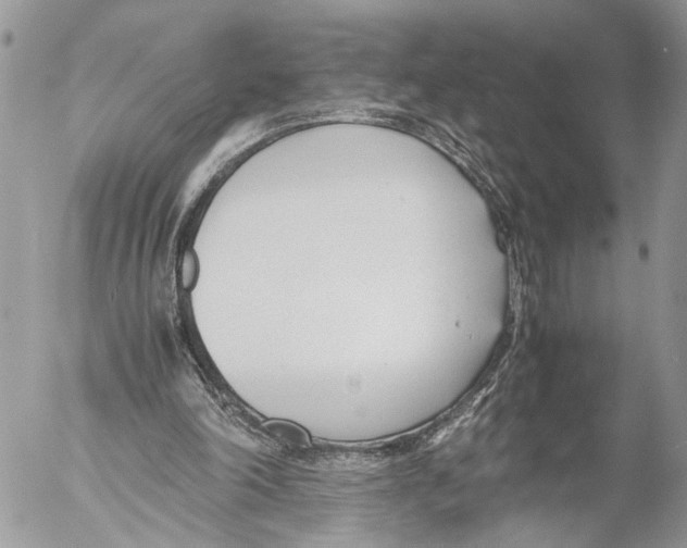 X0000053070198200508081228