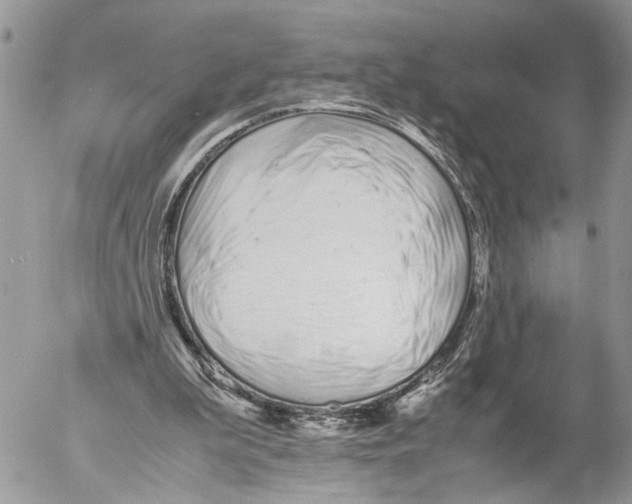 X0000053070199200508081228