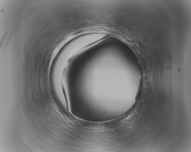 X0000053070200200508081228