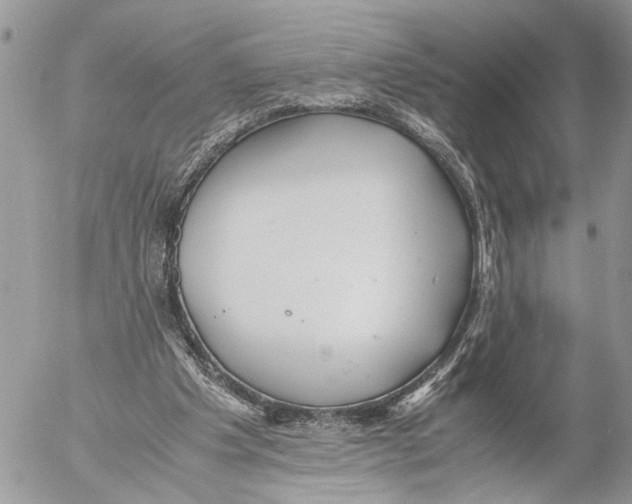 X0000053070201200508081228