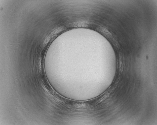 X0000053070202200508081228