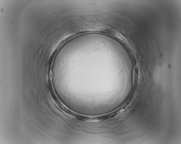 X0000053070203200508081228