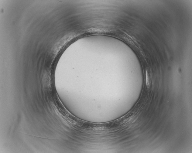 X0000053070204200508081228