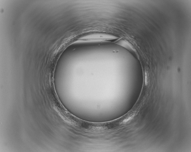 X0000053070205200508081228