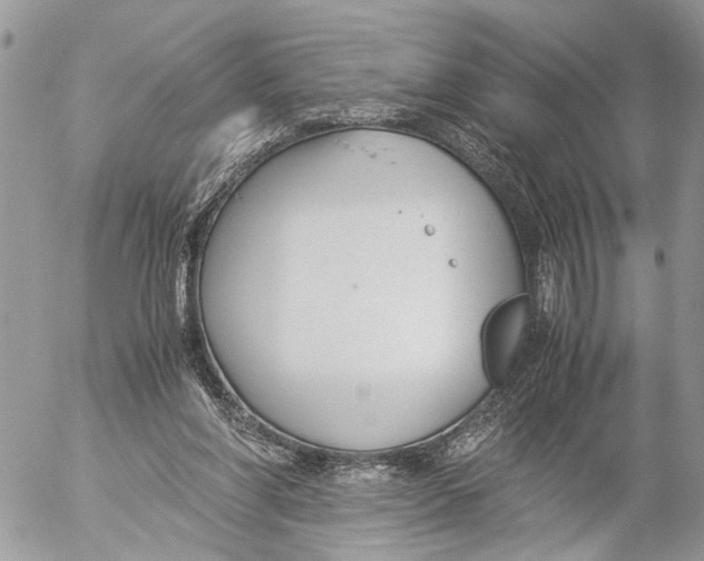 X0000053070206200508081228