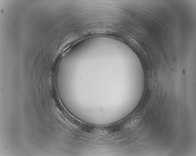 X0000053070207200508081228