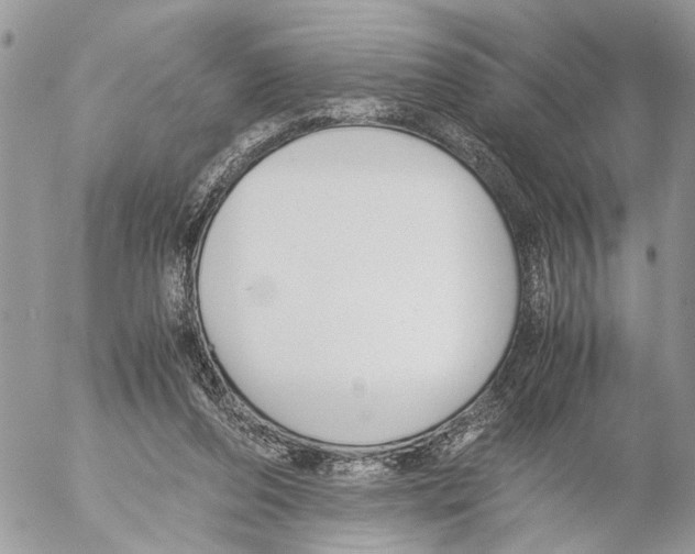 X0000053070208200508081228