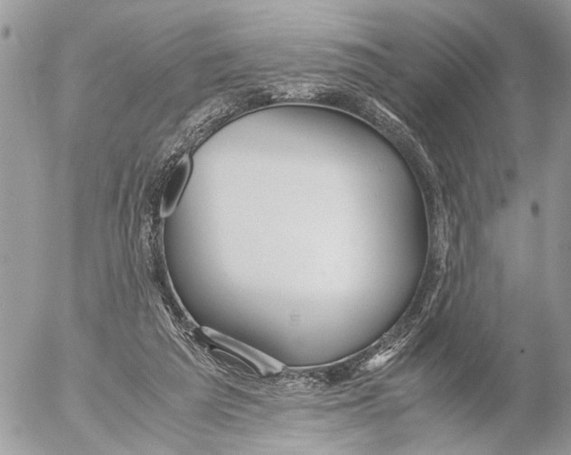 X0000053070209200508081228