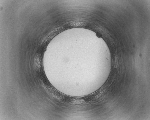 X0000053070210200508081228