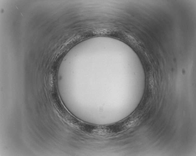 X0000053070211200508081228