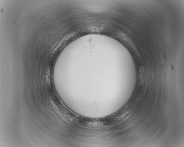 X0000053070212200508081228