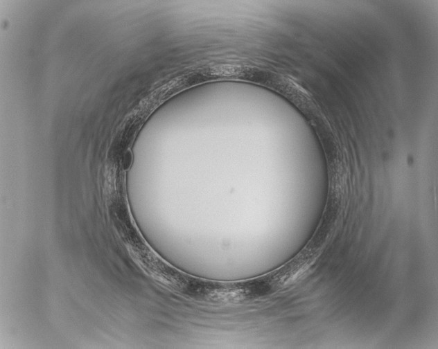 X0000053070213200508081228