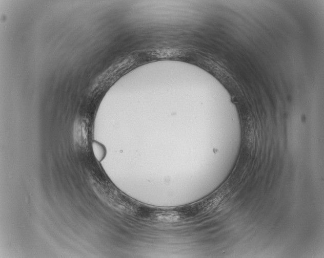 X0000053070214200508081228