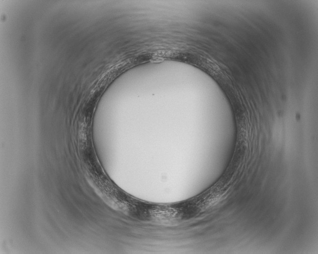 X0000053070215200508081228