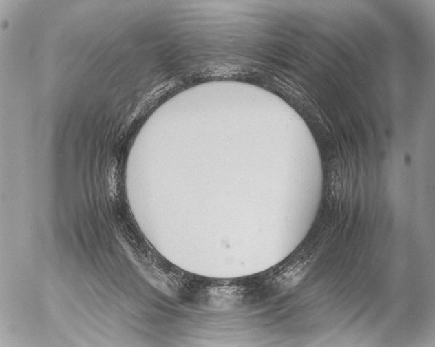 X0000053070216200508081228