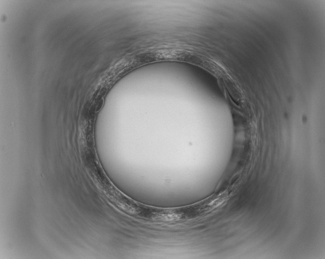 X0000053070217200508081228