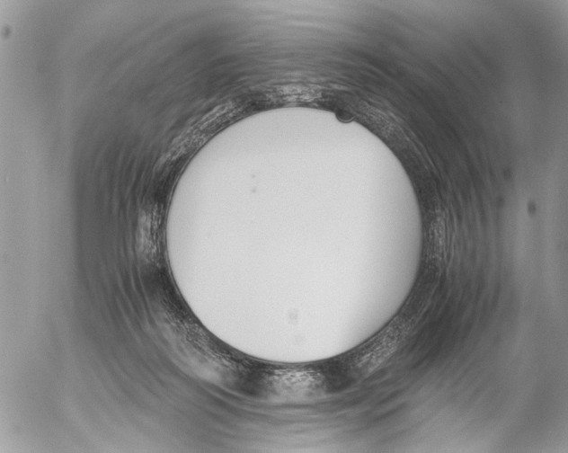 X0000053070218200508081228