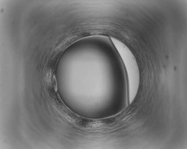 X0000053070219200508081228