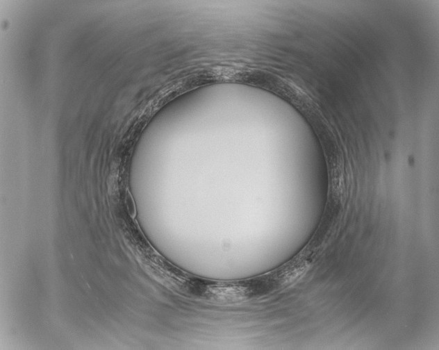 X0000053070221200508081228