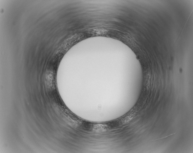 X0000053070222200508081228