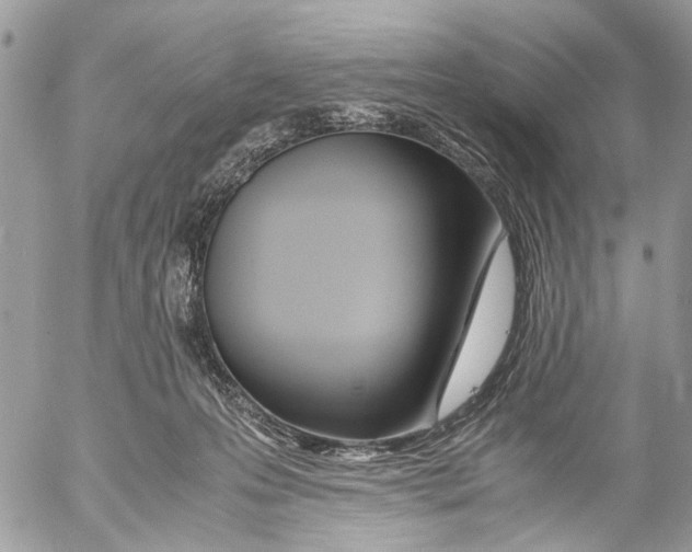 X0000053070223200508081228