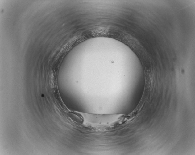 X0000053070224200508081228