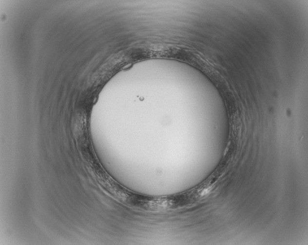 X0000053070225200508081228