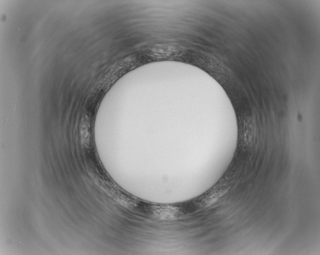 X0000053070226200508081228