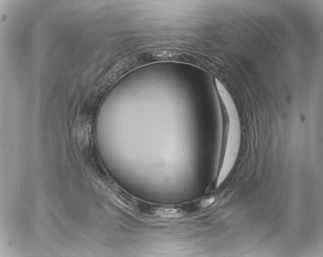 X0000053070227200508081228