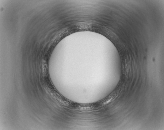 X0000053070228200508081228